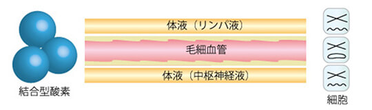 結合型酸素